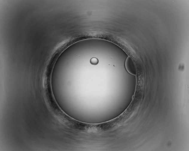 X0000102780587200808251118