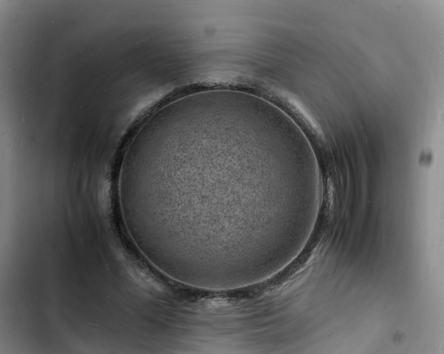 X0000102780588200808251118