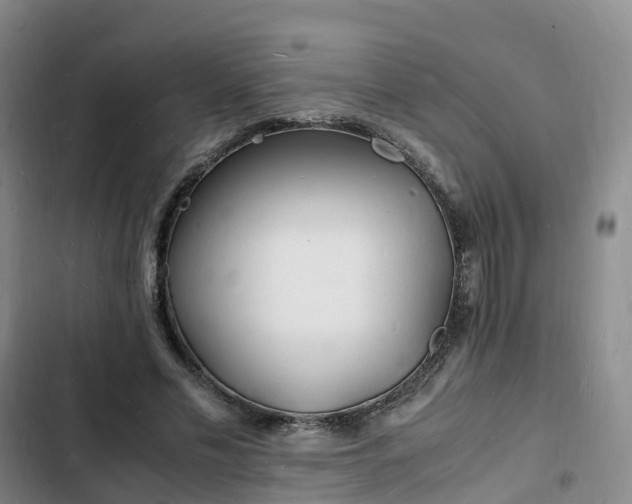 X0000102780589200808251118