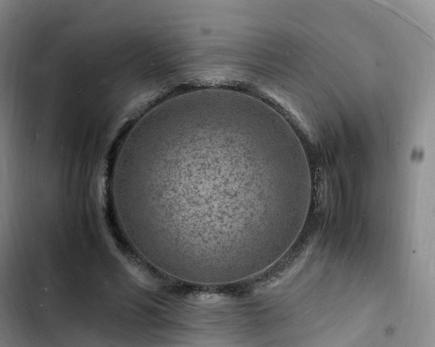 X0000102780590200808251118