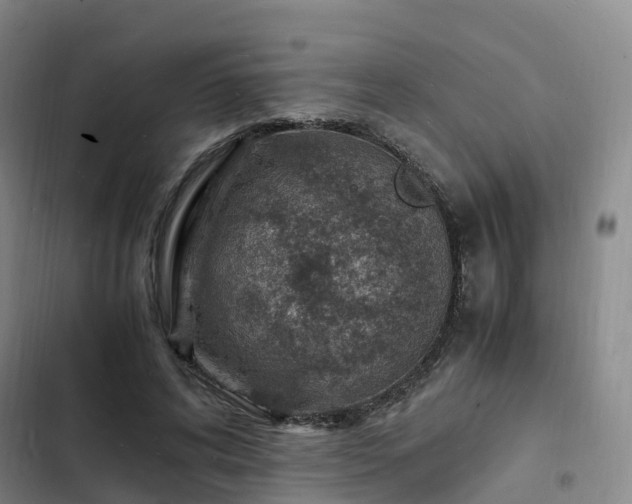 X0000102780592200808251118