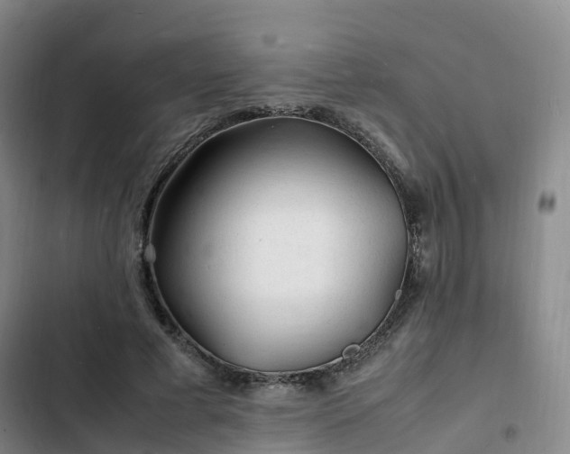 X0000102780593200808251118