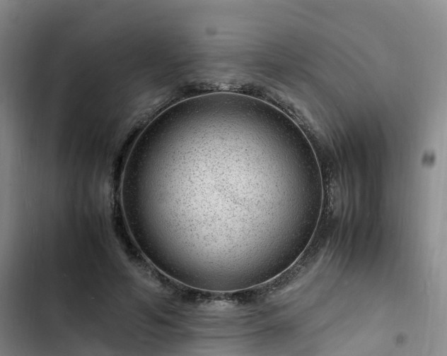 X0000102780594200808251118