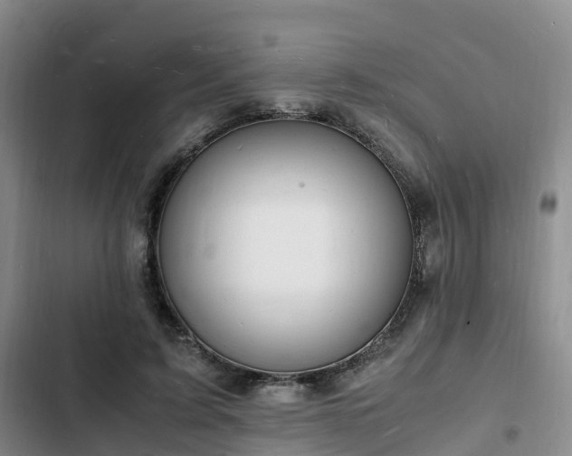 X0000102780595200808251118