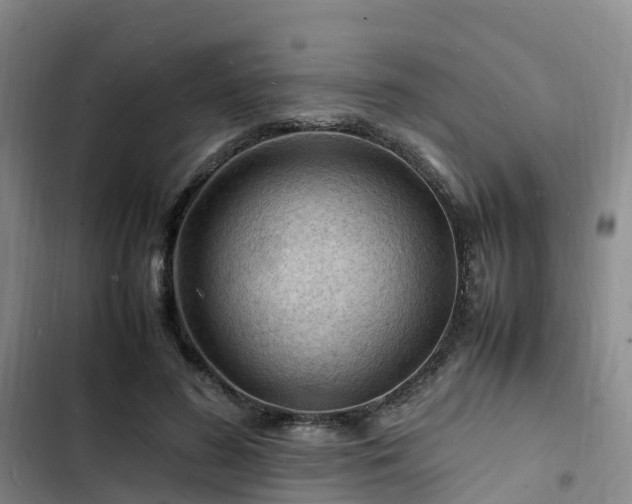 X0000102780596200808251118