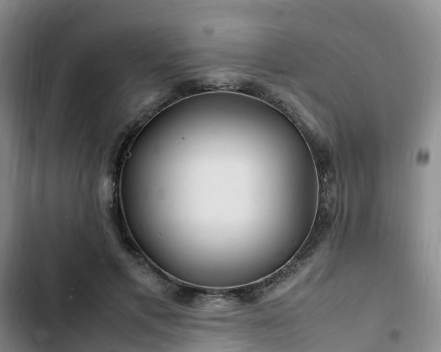 X0000102780597200808251117