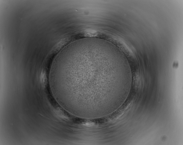 X0000102780598200808251117