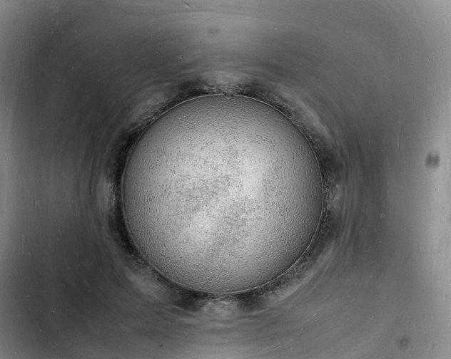 X0000102780599200808251117