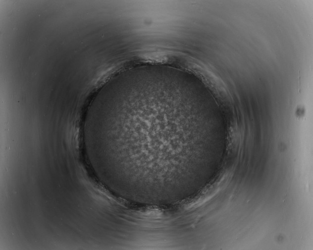 X0000102780600200808251117