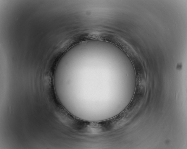 X0000102780603200808251117