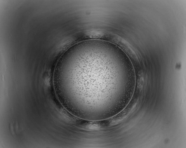 X0000102780604200808251117