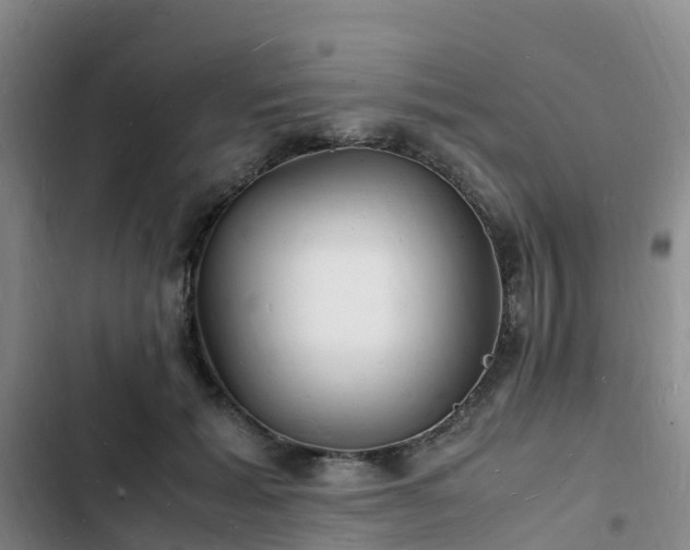 X0000102780605200808251117