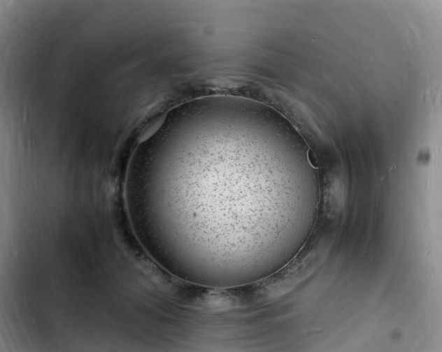 X0000102780608200808251117