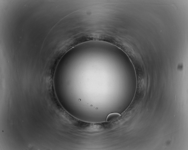 X0000102780609200808251117