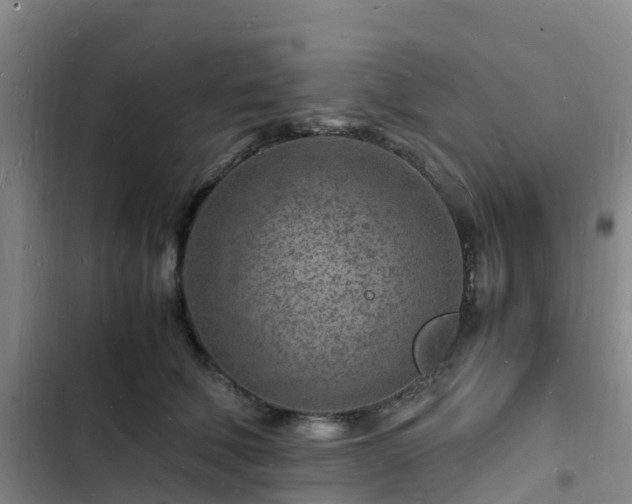 X0000102780610200808251117