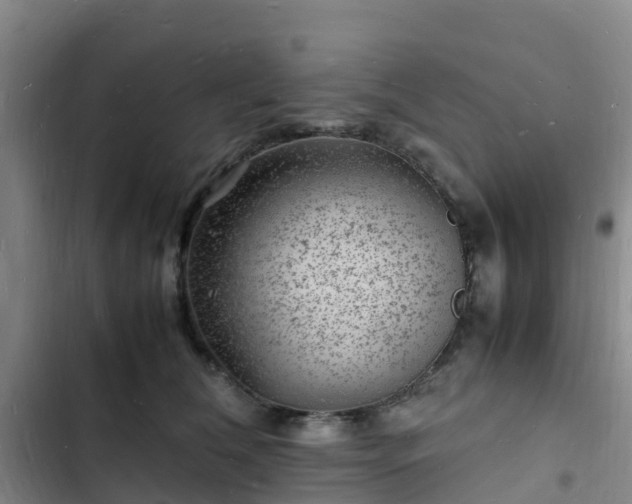 X0000102780612200808251117