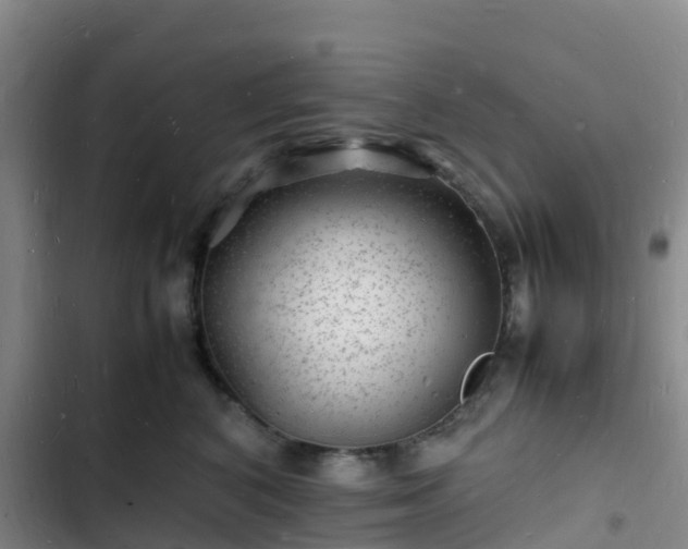 X0000102780616200808251117