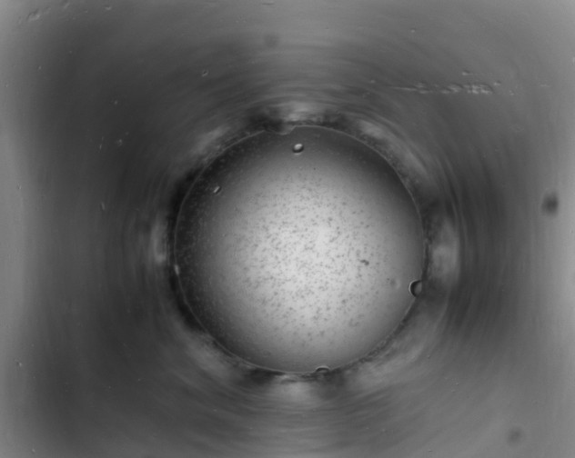 X0000102780620200808251117