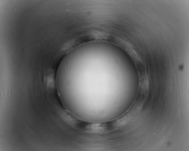 X0000102780622200808251117