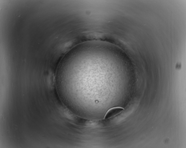 X0000102780624200808251117