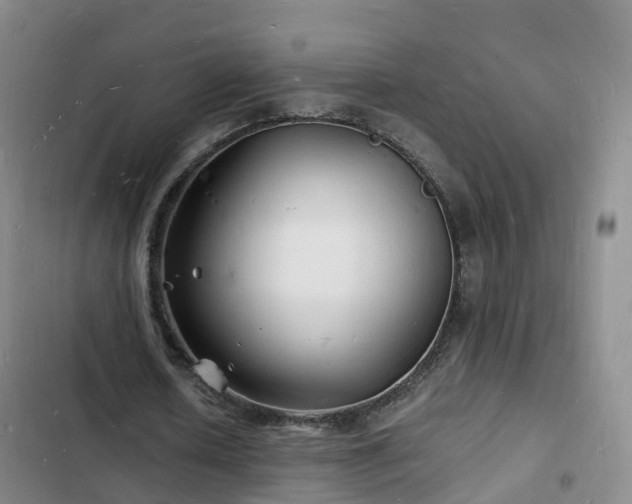 X0000102780626200808251116