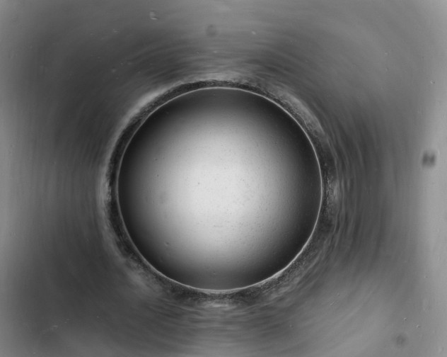 X0000102780628200808251116