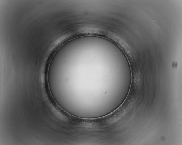 X0000102780629200808251116