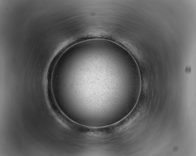 X0000102780630200808251116