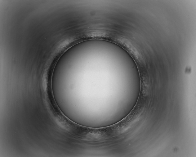 X0000102780631200808251116