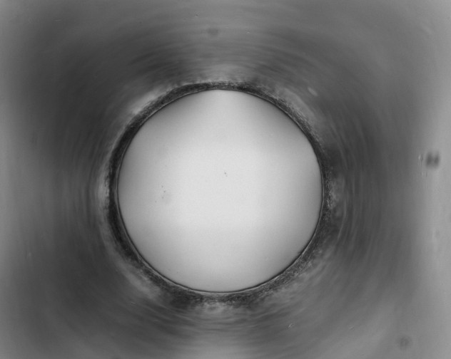 X0000102780632200808251116