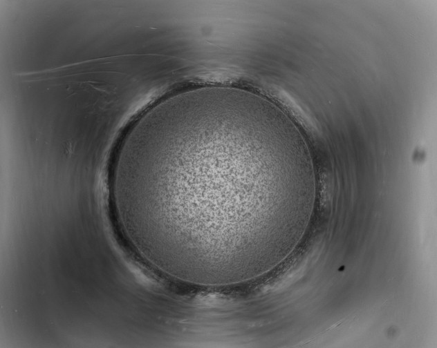 X0000102780634200808251117