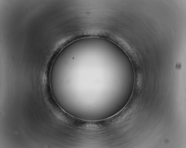 X0000102780636200808251117