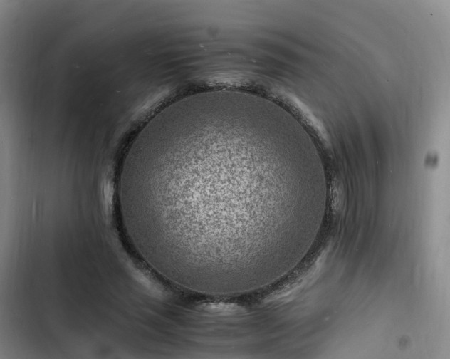 X0000102780637200808251117