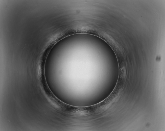 X0000102780638200808251117