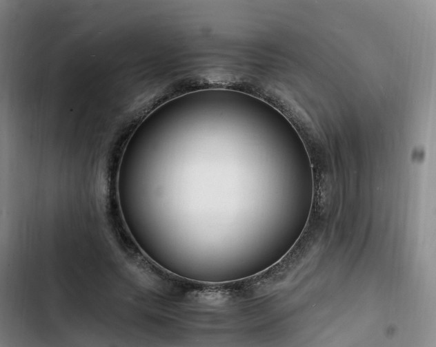 X0000102780639200808251117