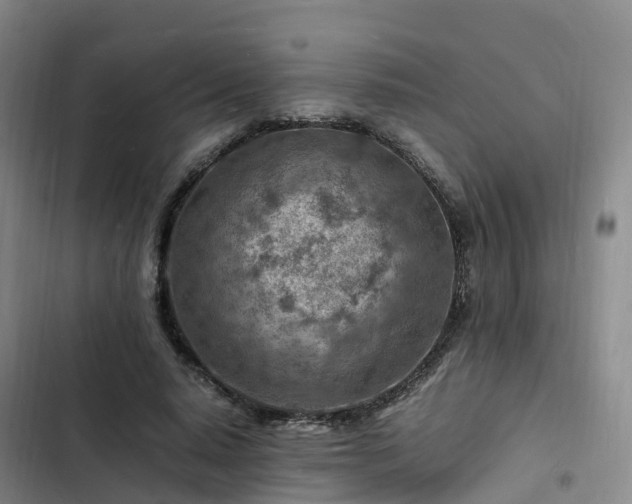 X0000102780640200808251117