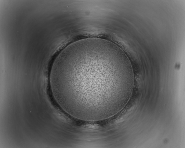 X0000102780642200808251117