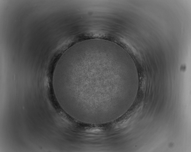 X0000102780643200808251117