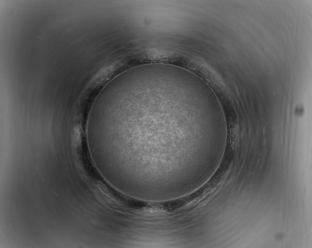 X0000102780644200808251117