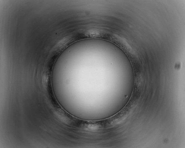 X0000102780645200808251117