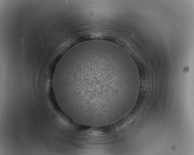 X0000102780648200808251117