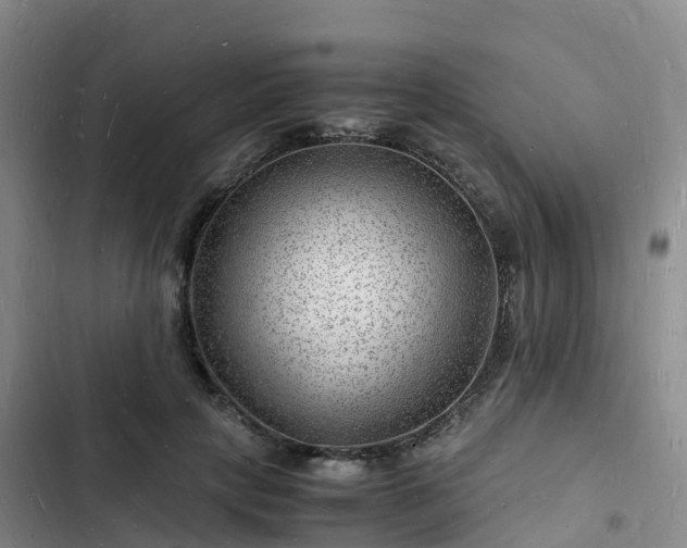 X0000102780649200808251117