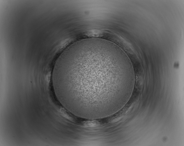 X0000102780652200808251117