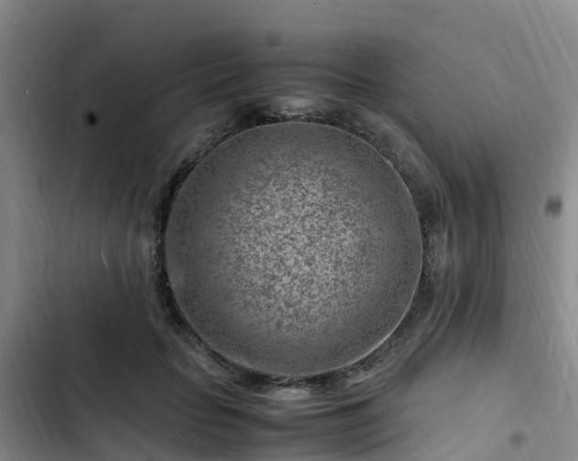 X0000102780653200808251117