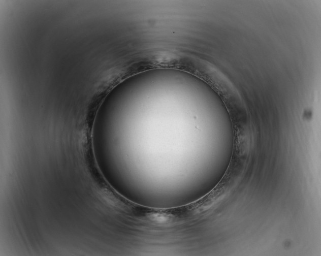 X0000102780654200808251117