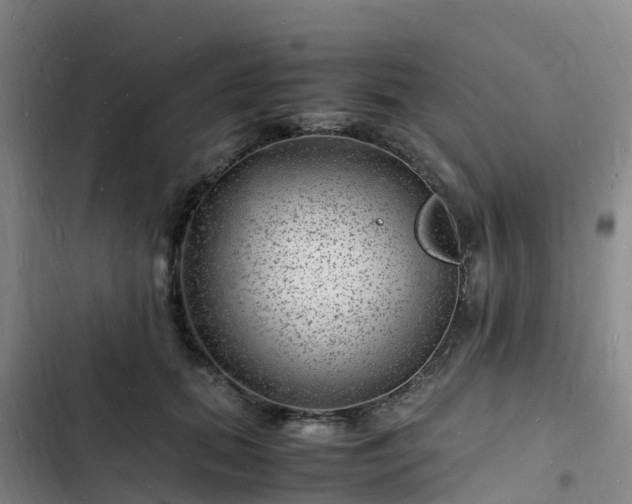 X0000102780655200808251117