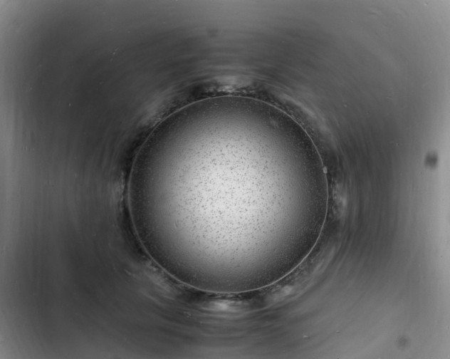 X0000102780657200808251117