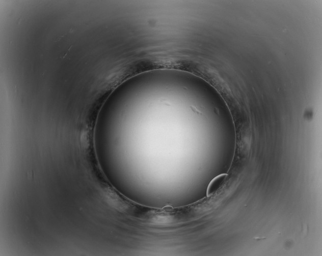 X0000102780658200808251117