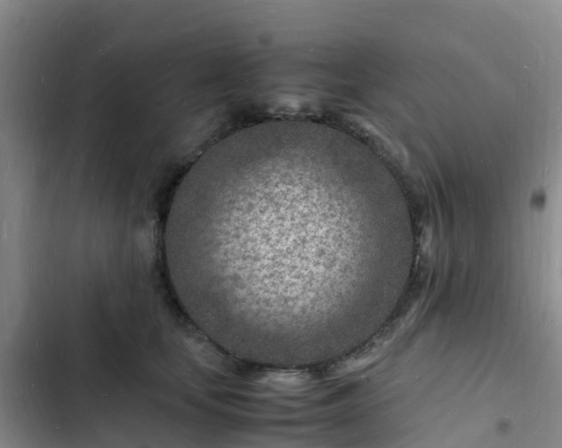 X0000102780659200808251117