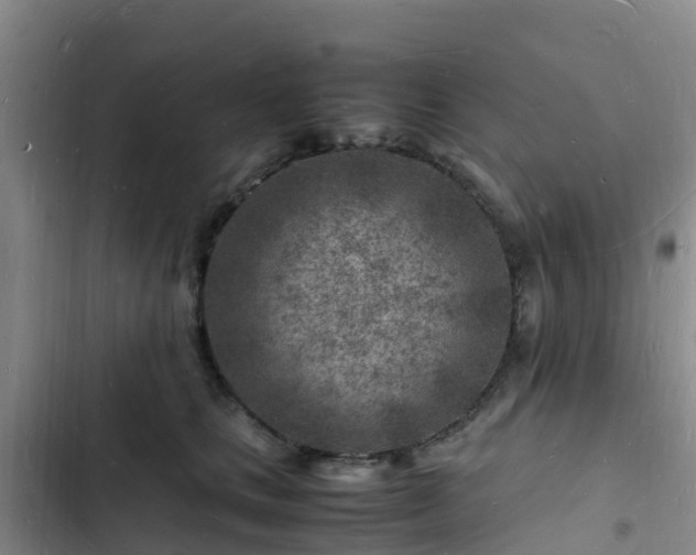 X0000102780661200808251117